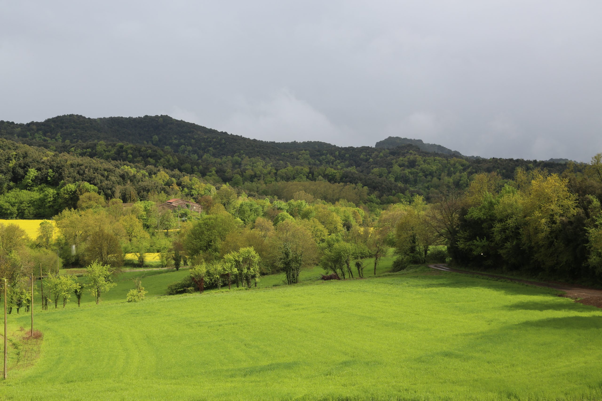 valle masía natural Girona boda civil
