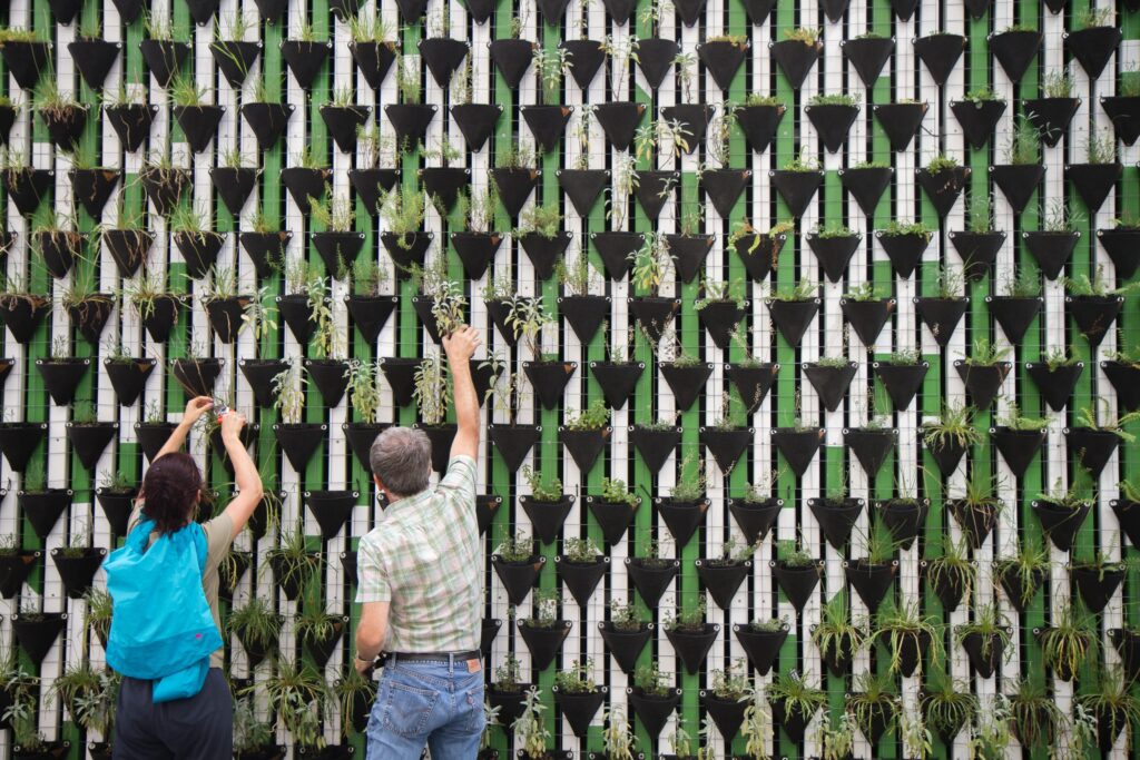 Persona cuidando plantas aromáticas en un huerto vertical, en una jornada de voluntariado corporativo en Mas Campassol