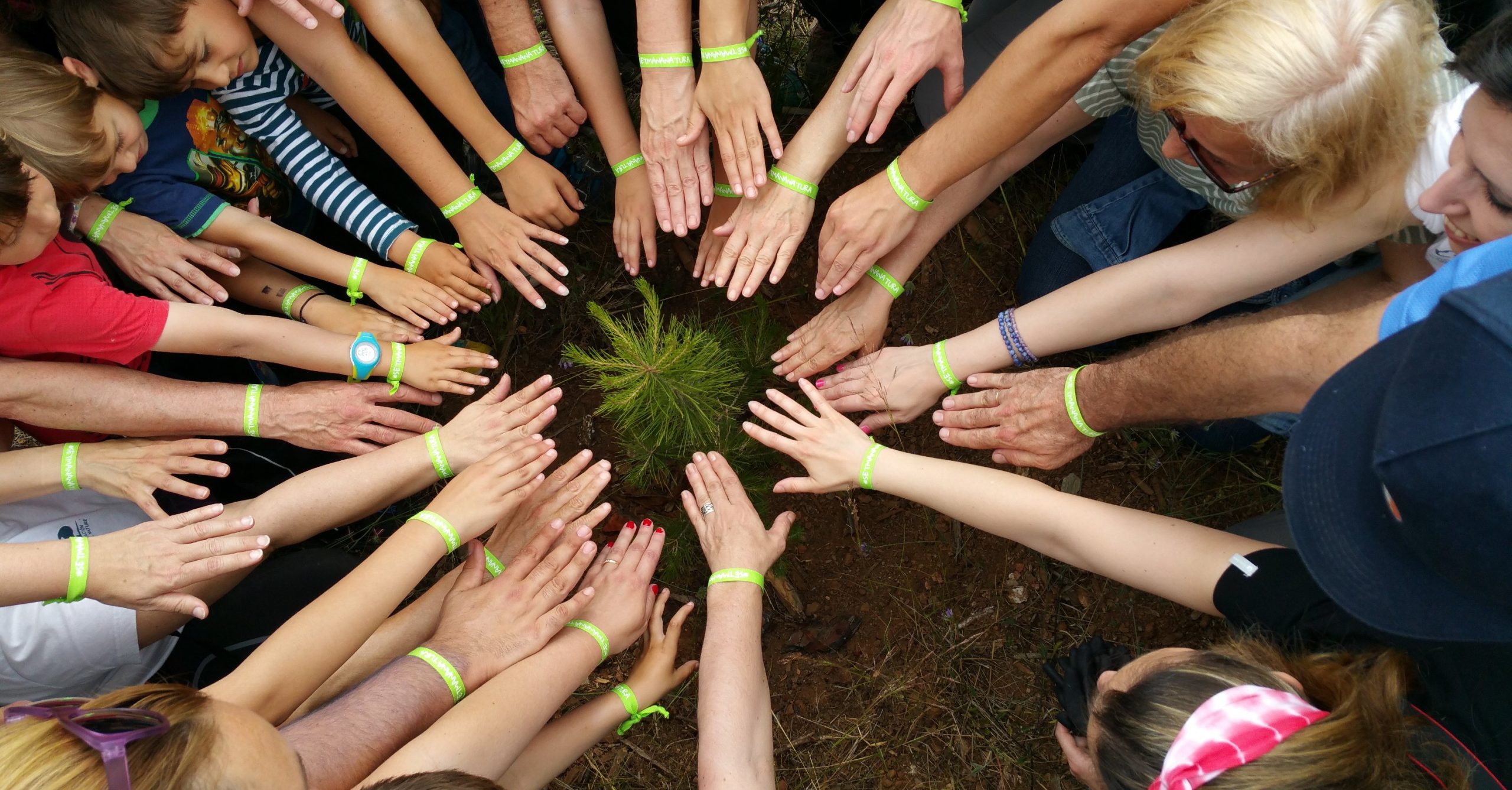 team building plantación árbol RSC Girona