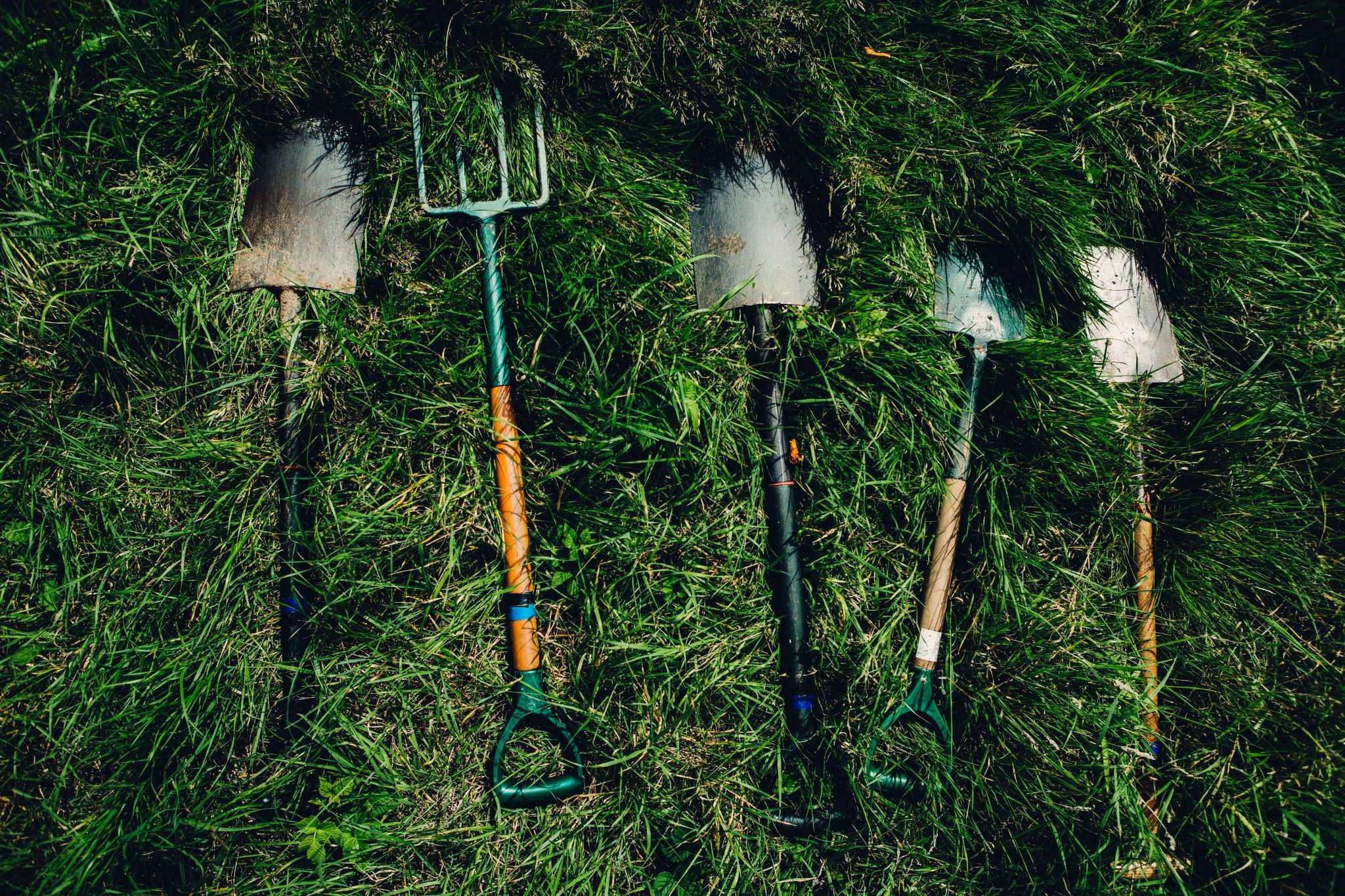 Palas y horca de jardinería sobre la hierba, preparadas para una jornada de voluntariado corporativo en Girona