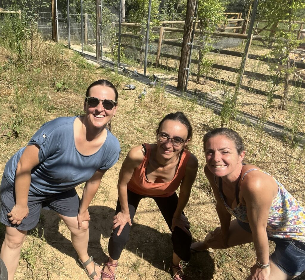 Tres compañeras sonriendo junto a un huerto con cañas y vallado durante una jornada de teambuilding